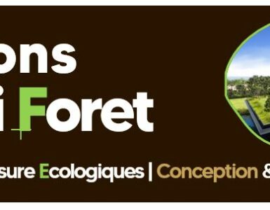 logo maisons archiforet - designer constructeur de maisons ecologiques sur mesure design et moderne type architecte